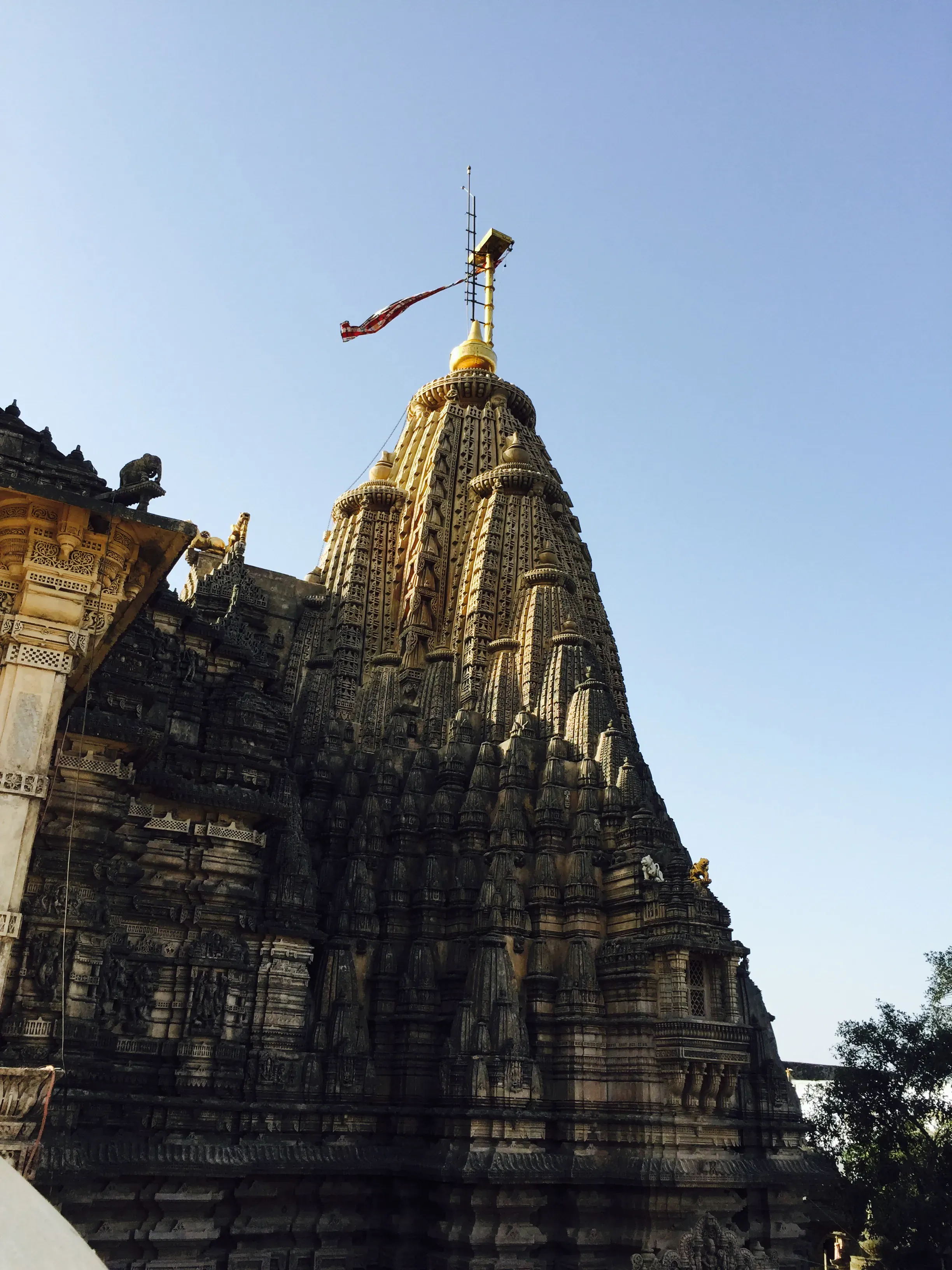 Palitana Jain Temples of Palitana