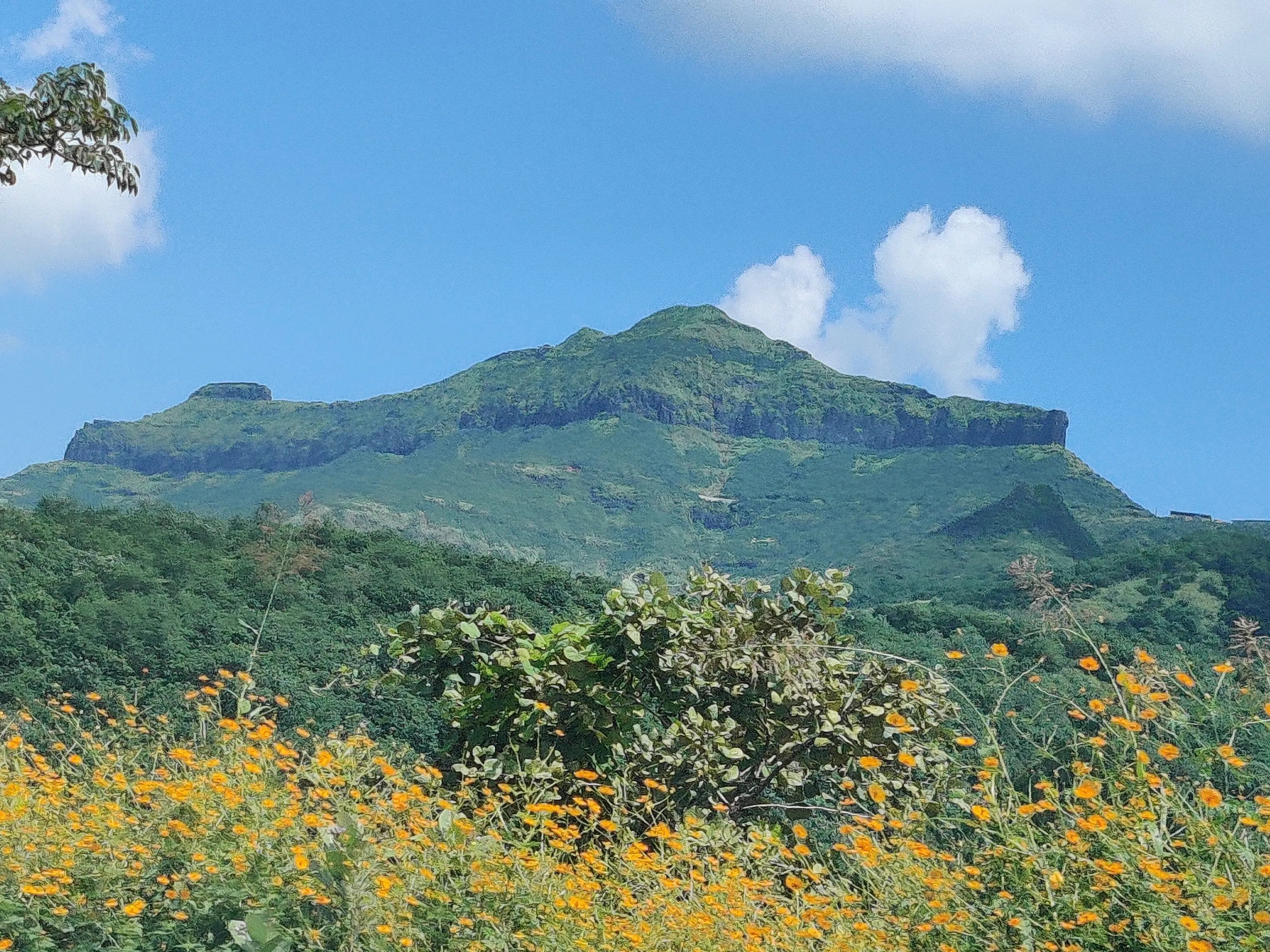 Purandar Fort Pune