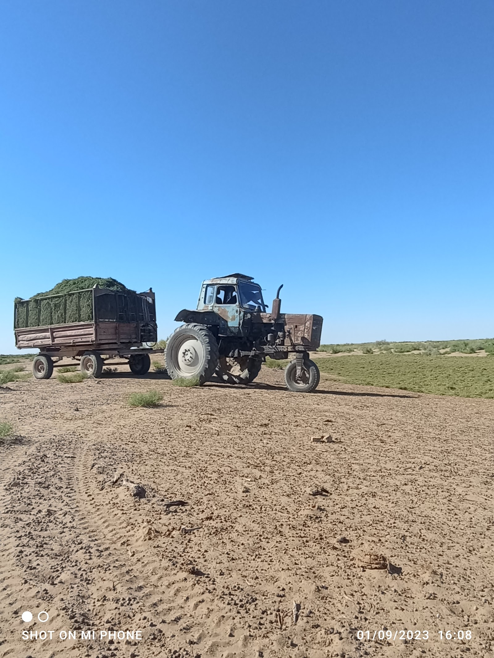 Taip Depe Karakum Desert Turkmenistan