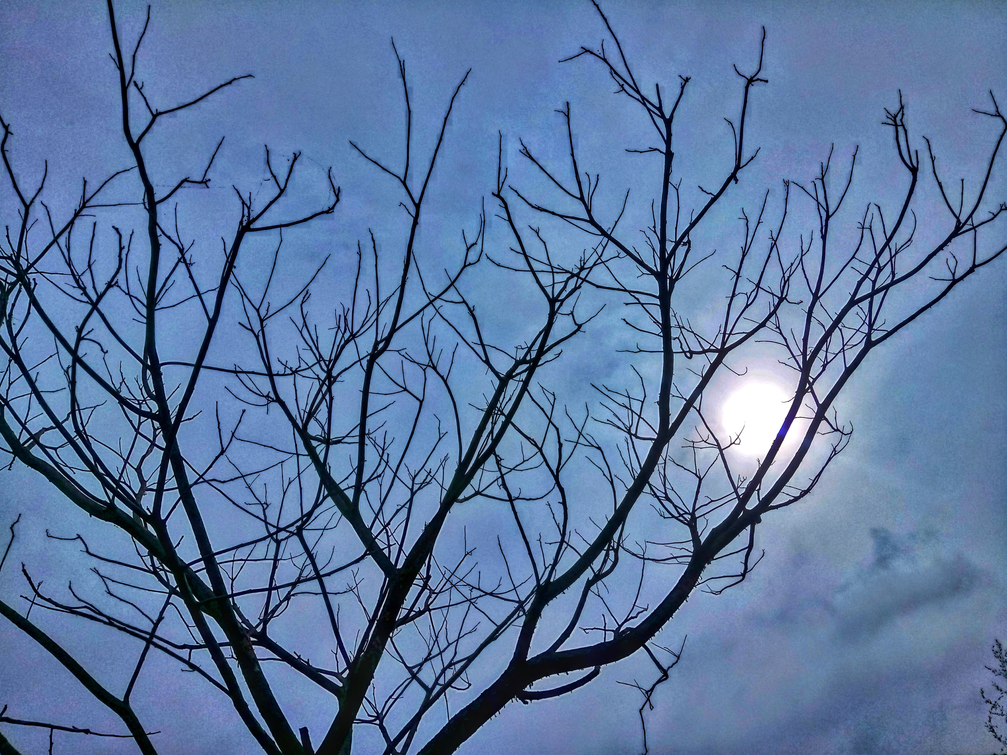 Anuradhapura Ancient City North Central Province Sri Lanka
