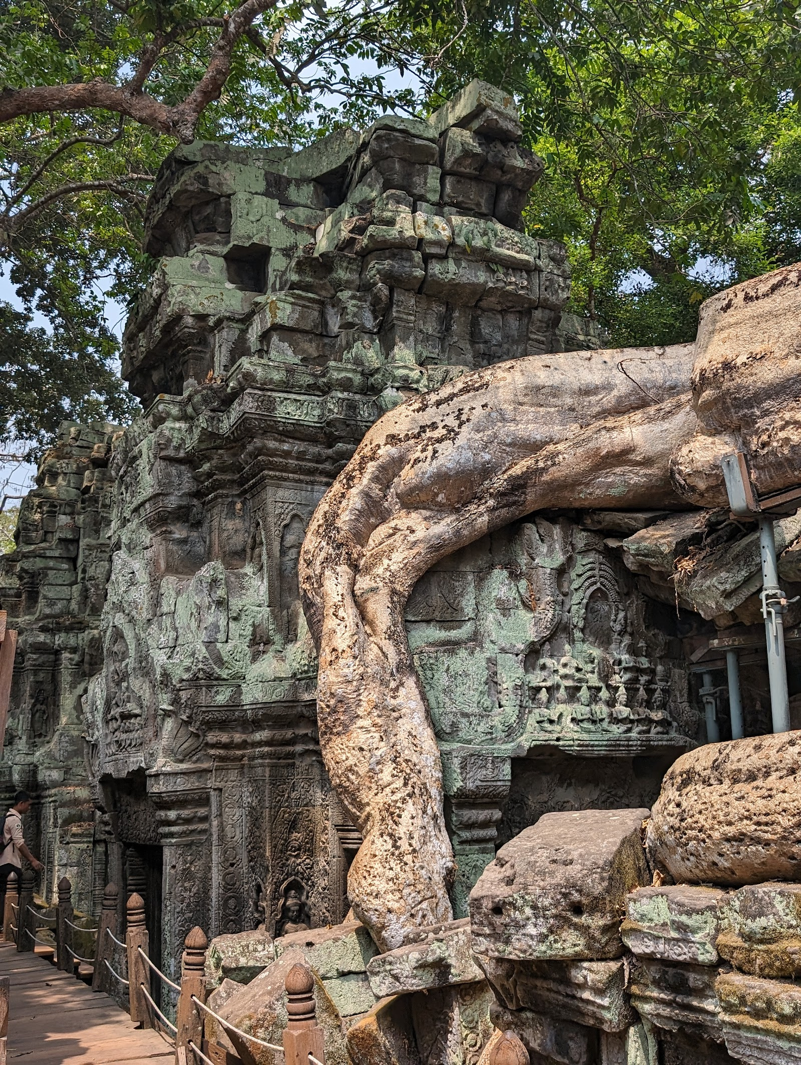 Ta Prohm Siem Reap Cambodia
