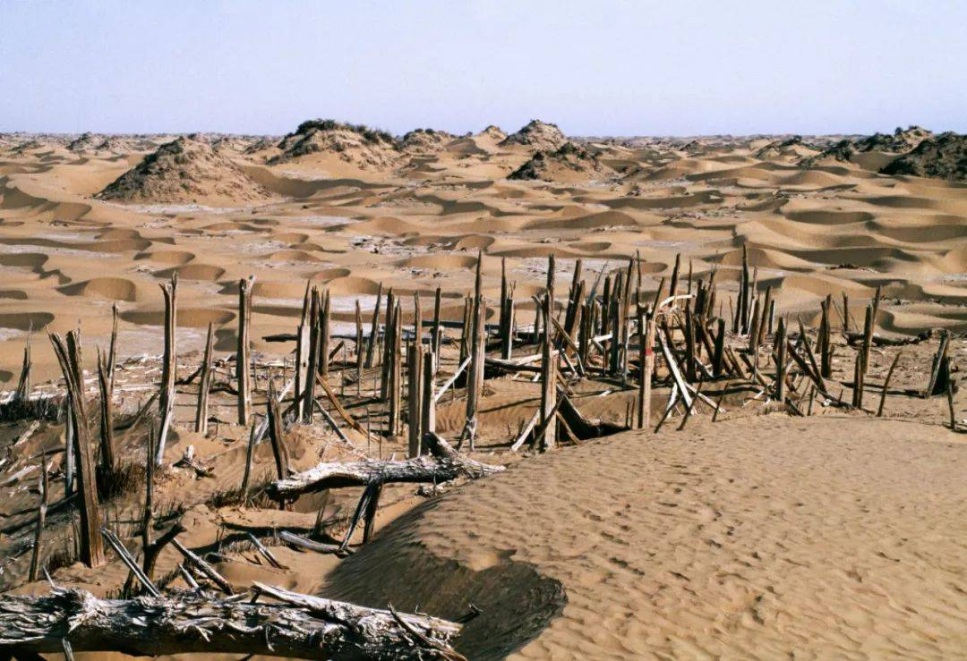 Niya Ruins Minfeng Xinjiang China